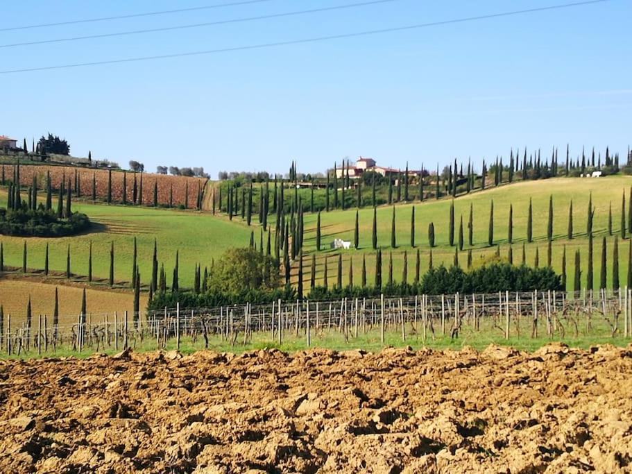 Castello Di Fulignano Ildebrando Superior Apartment San Gimignano Buitenkant foto